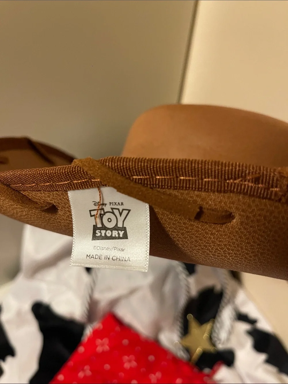 Toy Story- Woody costume for Male
